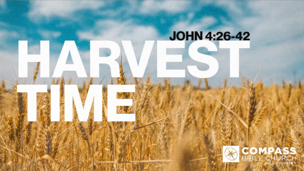 Harvest Time Image