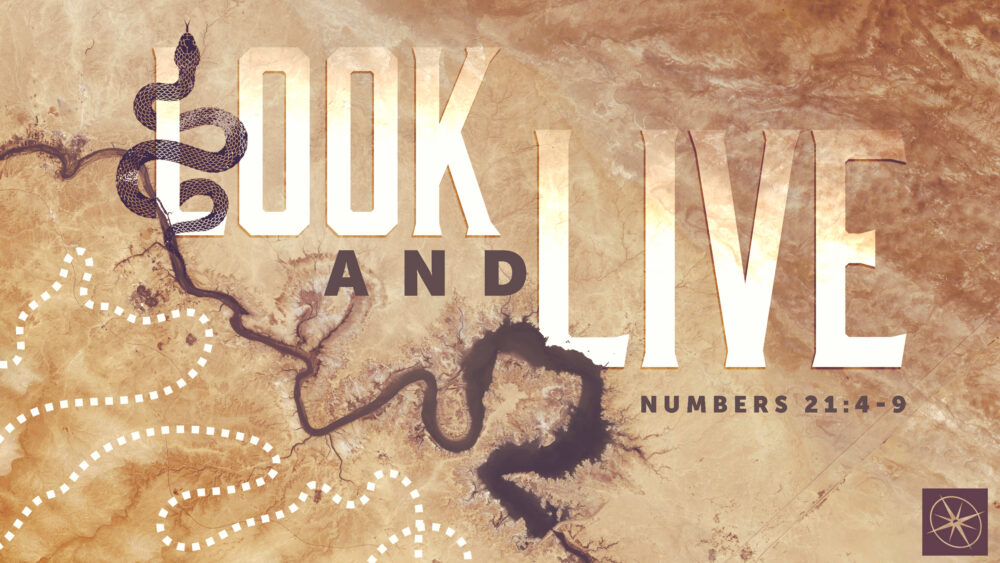Look and Live