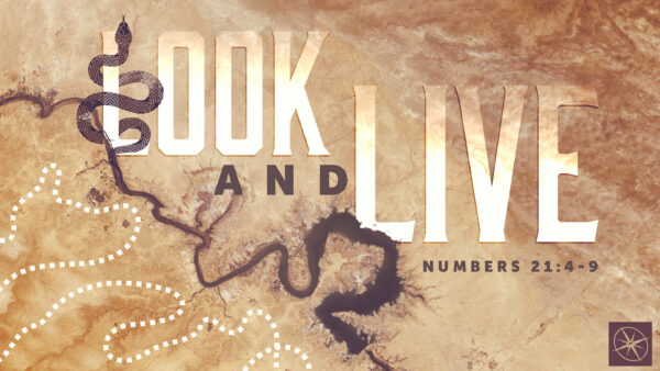 Look and Live: The Bronze Serpent Image